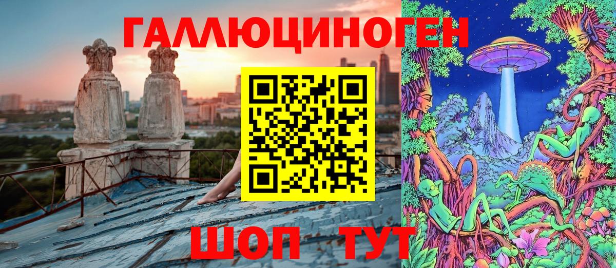 Галлюциногенные грибы Psilocybe Старая Купавна