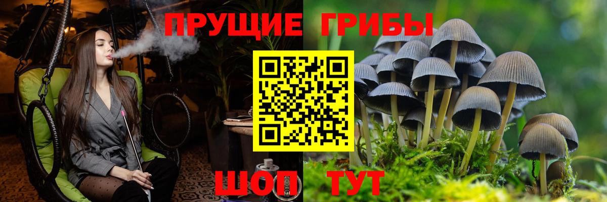 Псилоцибиновые грибы GOLDEN TEACHER  Галлюциногенные грибы Cubensis  Вход с VPN  Старая Купавна 